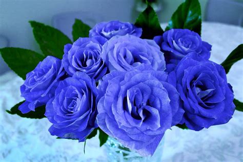 flores azules significado